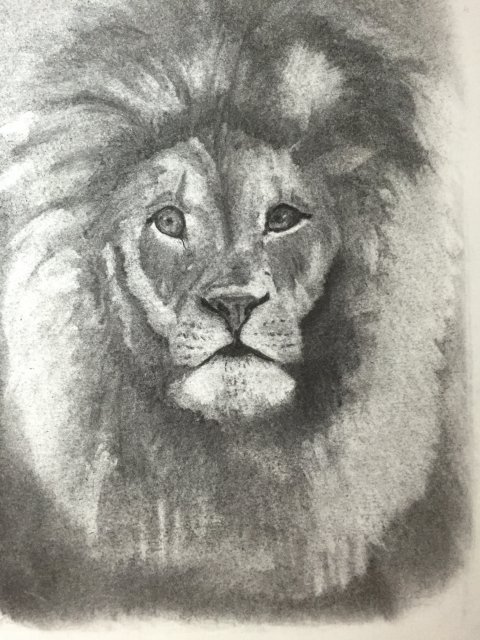 Ariel - løveportræt