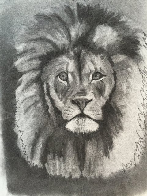 Ariel - løveportræt