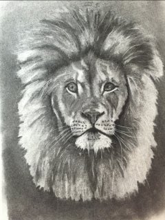 Ariel - Regitze Schmidt