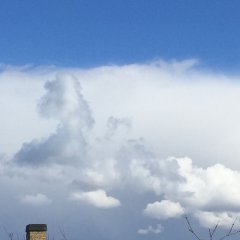 Sjælstegning, Regitze Schmidt